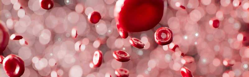 Close up of blood cells Close up of blood cells